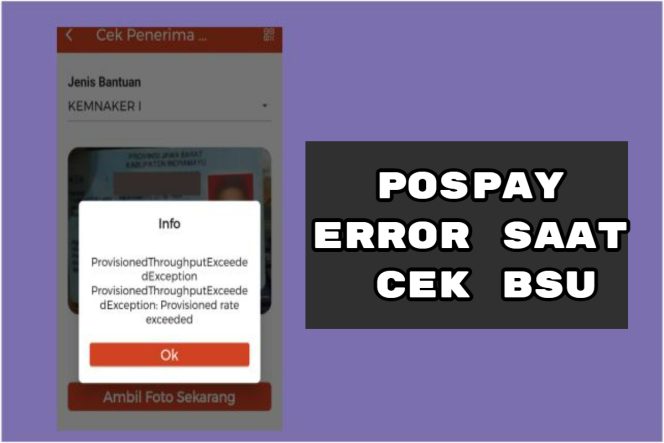 
 Solusi Pospay BSU Tahap 7 Error Muncul Pesan Provisioned Throughput Exceeded Exception