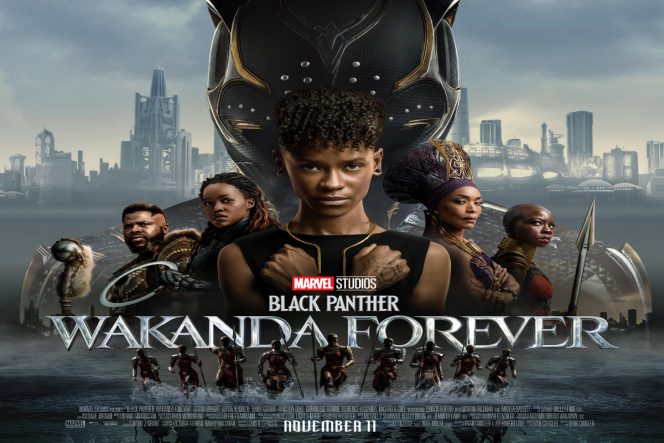 
 black panther wakanda forever